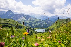 Grandiose Allgäuer Alpenwelt