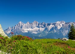 Sommerliche Alpenwelt